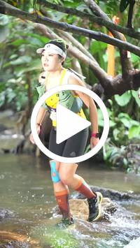 BIB:  <button type="button" onclick="openModal(27549205)" class="btn btn-primary btn-sm float-right" data-toggle="modal" data-target=".modal-high-quality">
                <i class="fa fa-download"></i> Download
                </button>